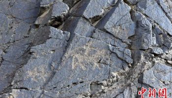 甘肃肃北发现逾5000幅千年岩画 反映射猎游牧生活
