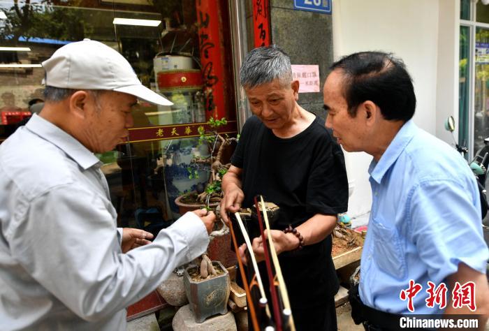 中国文化百年乐器制作世家匠心依旧 一家三代坚守传统技艺