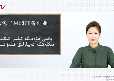 跟我学|微课堂-维吾尔语 第031课