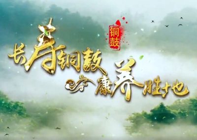 《长寿之乡 康养胜地》江西省铜鼓县文化旅游宣传片